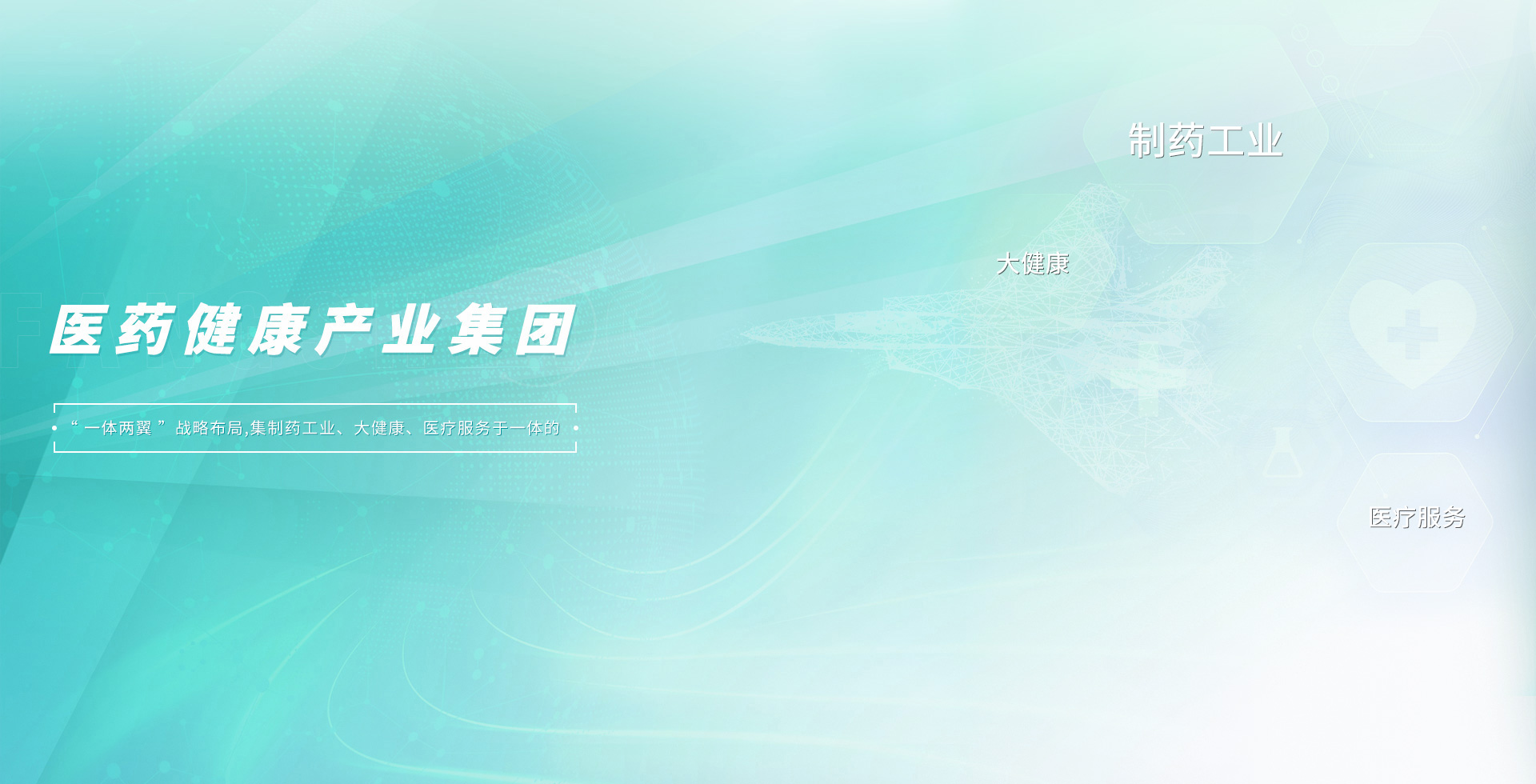 医药健康产业集团